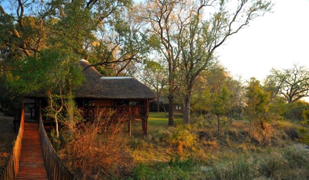 Idube Game Reserve Sabi Sand Game Reserve Oda fotoğraf